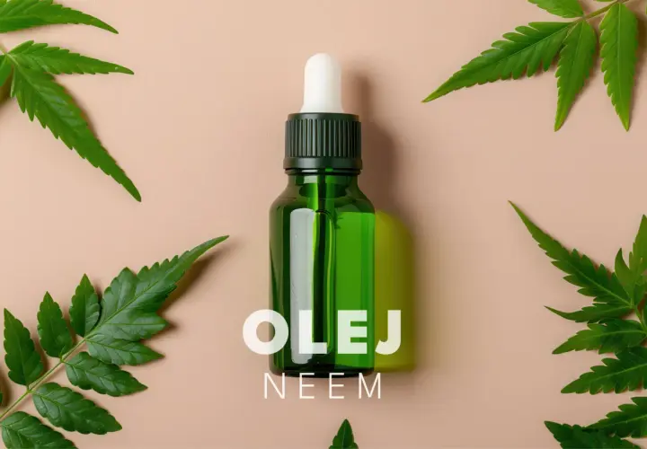 Olej neem na twarz jak stosować? Zobacz, jak naturalne składniki mogą odmienić Twoją skórę. Butelka z pipetą i liście drzewa neem.