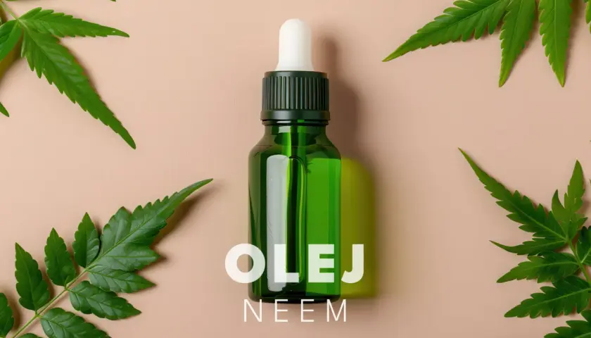 Olej neem na twarz jak stosować? Zobacz, jak naturalne składniki mogą odmienić Twoją skórę. Butelka z pipetą i liście drzewa neem.