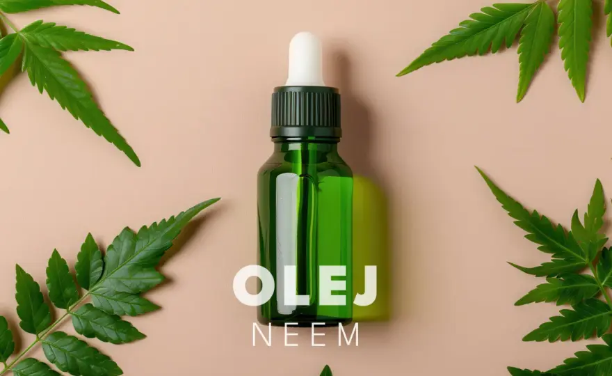 Olej neem na twarz - jak stosować go bez podrażnień?